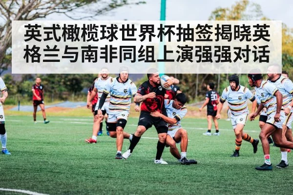 英式橄榄球世界杯抽签揭晓英格兰与南非同组上演强强对话
